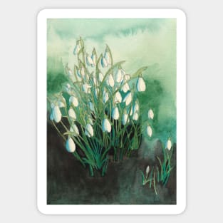 white snowdrops original watercolour painting Sticker